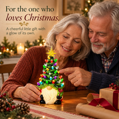 ✨DIY Lighted Christmas Gnome Tree - Best Gift For Family
