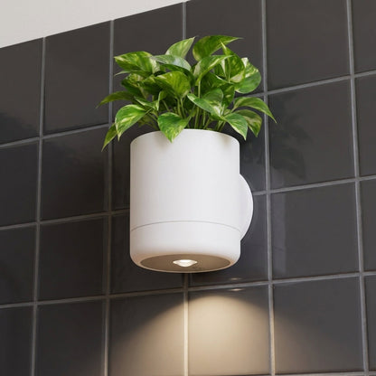 No-Wire Wall Sconce & Planter | Leafies🪴