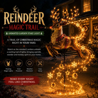 🔥😍Christmas Magic Flowing Light Collection