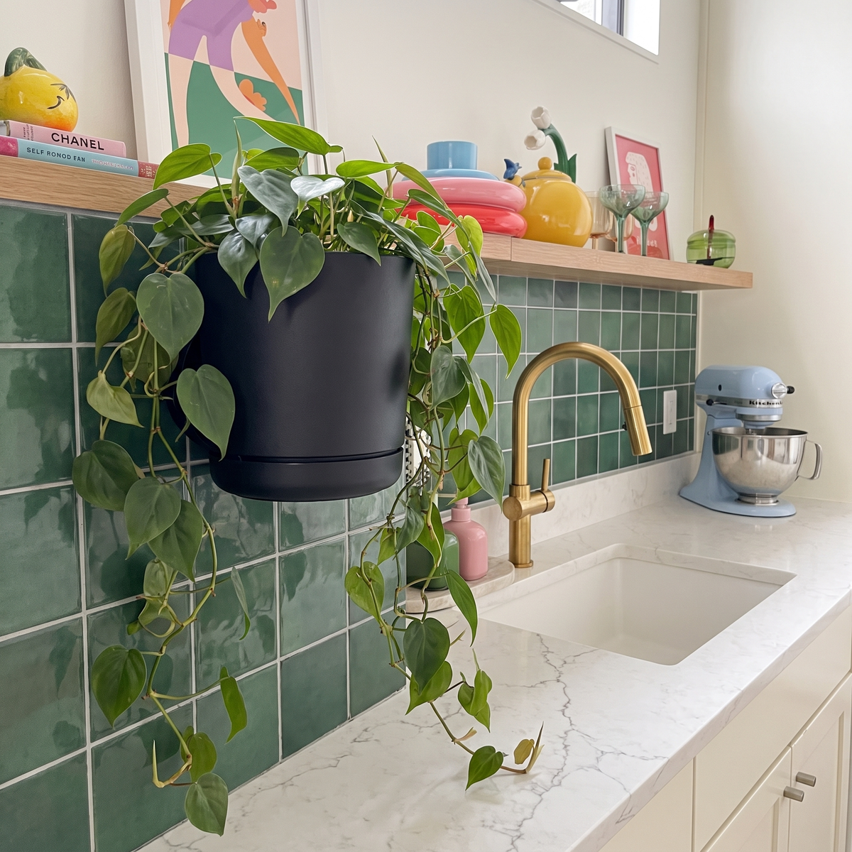 No-Wire Wall Sconce & Planter | Leafies🪴