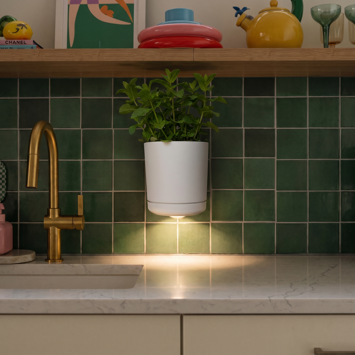 No-Wire Wall Sconce & Planter | Leafies🪴