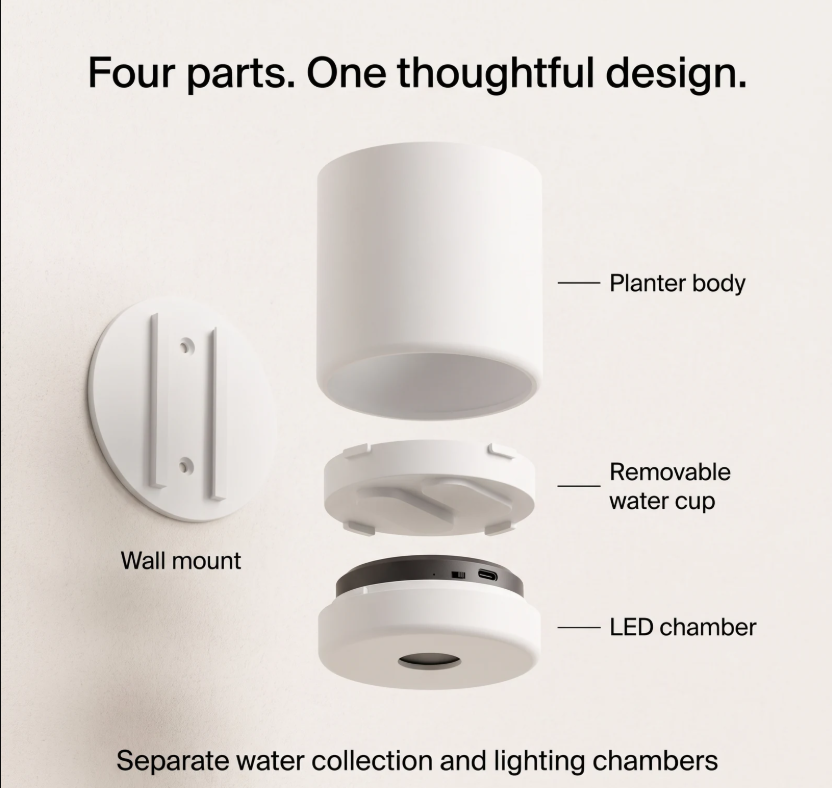 No-Wire Wall Sconce & Planter | Leafies🪴
