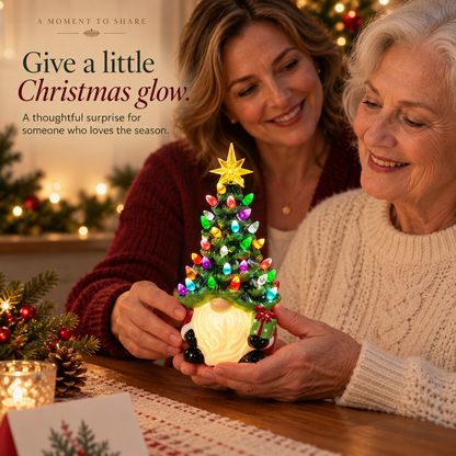 ✨DIY Lighted Christmas Gnome Tree - Best Gift For Family