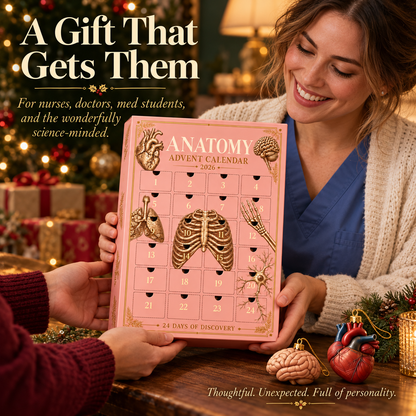 Anolumi Anatomy Advent Calendar — 24 Anatomy Ornaments