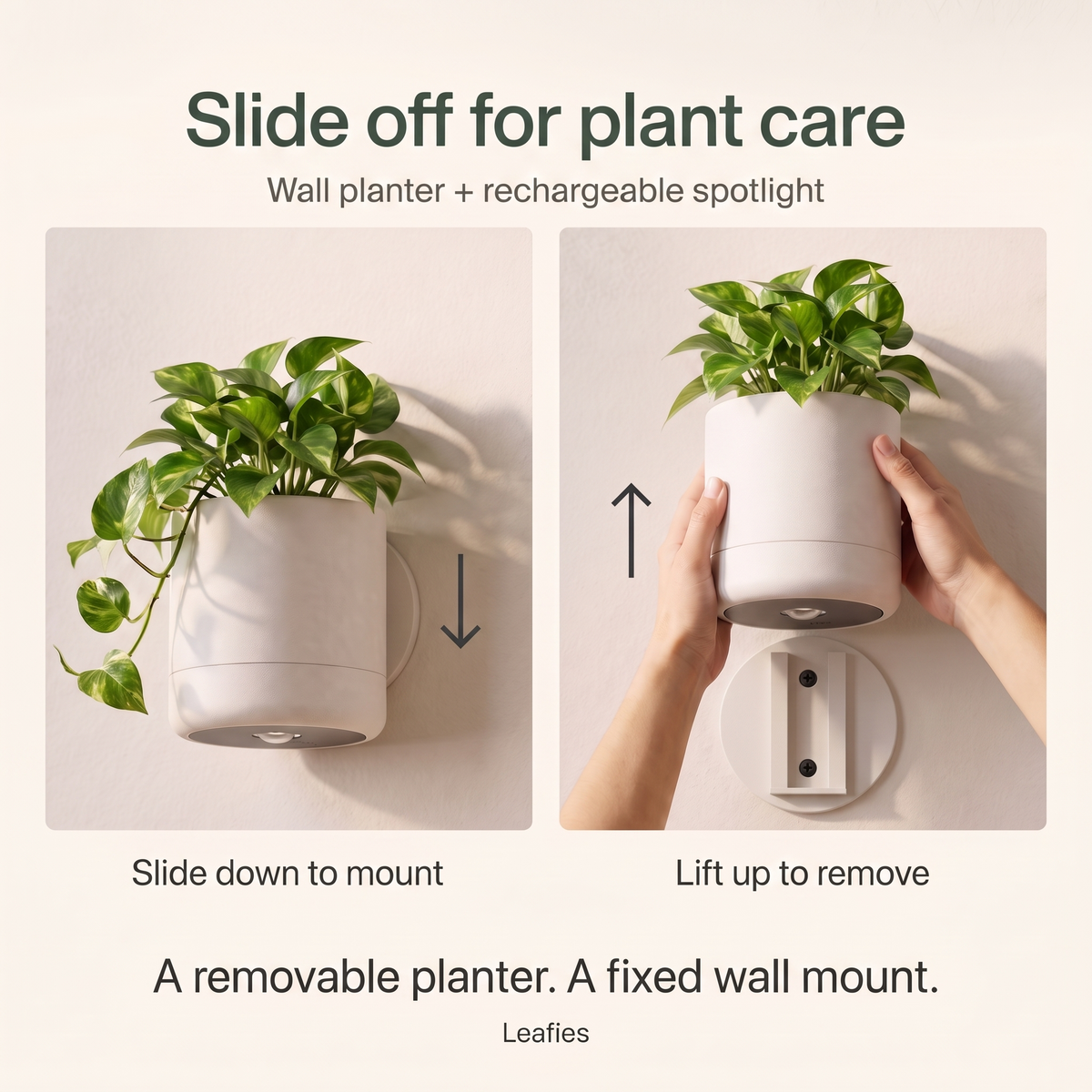 No-Wire Wall Sconce & Planter | Leafies🪴