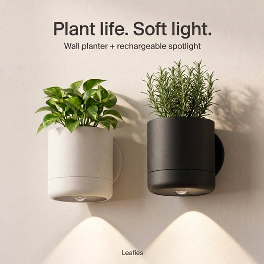 No-Wire Wall Sconce & Planter | Leafies🪴